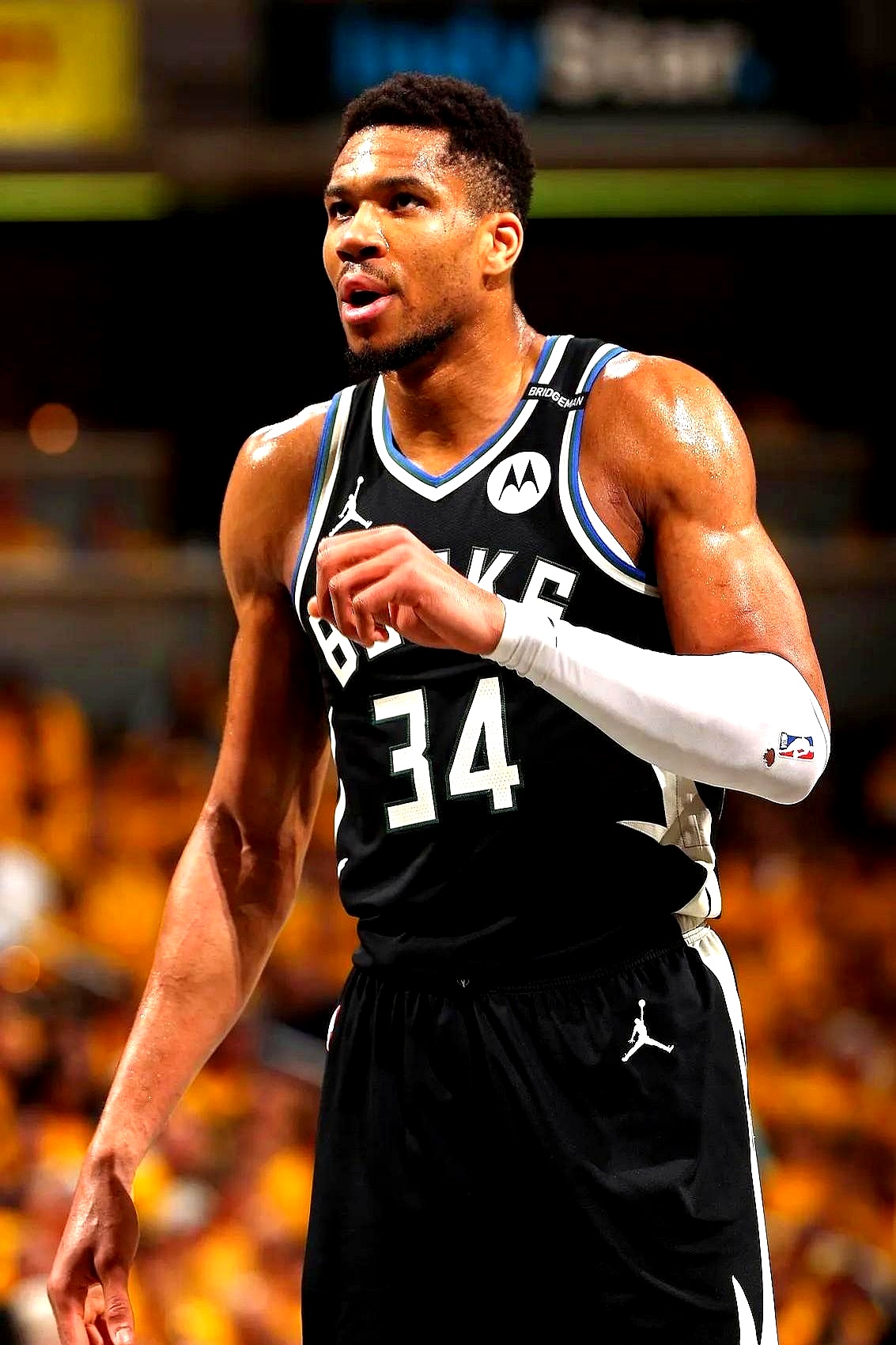 aoa体育培训-关于雄鹿击败篮网，字母哥独揽35分完胜对手的信息